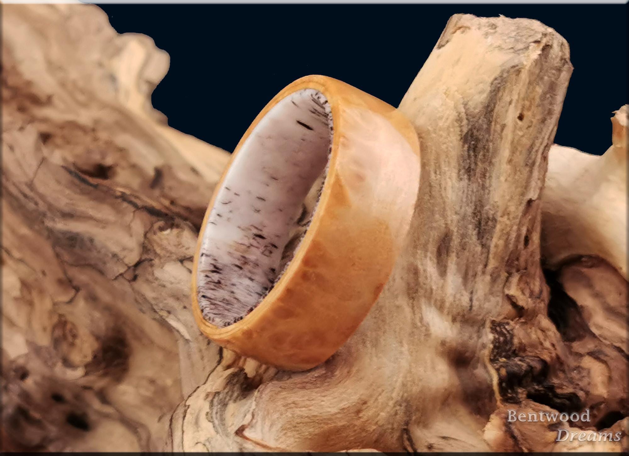 Bentwood Ring: Maple Burl, Deer Antler core, wood ring