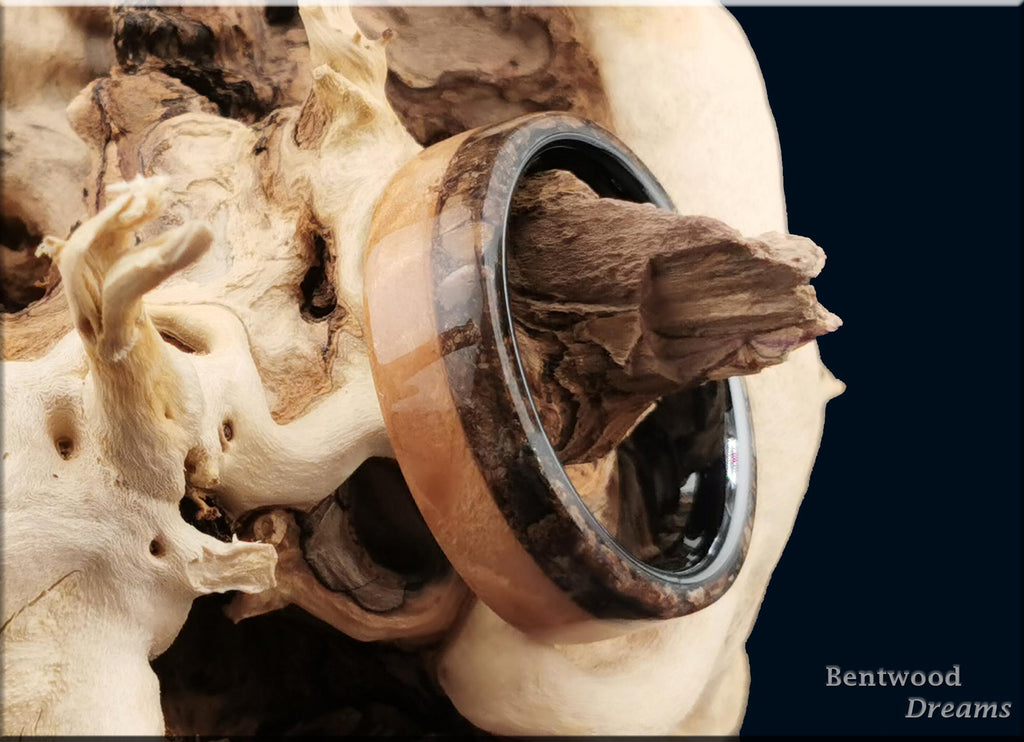 Bentwood Ring: Figured Maple, live edge inlaid Velociraptor Bone, polished Black Ceramic core