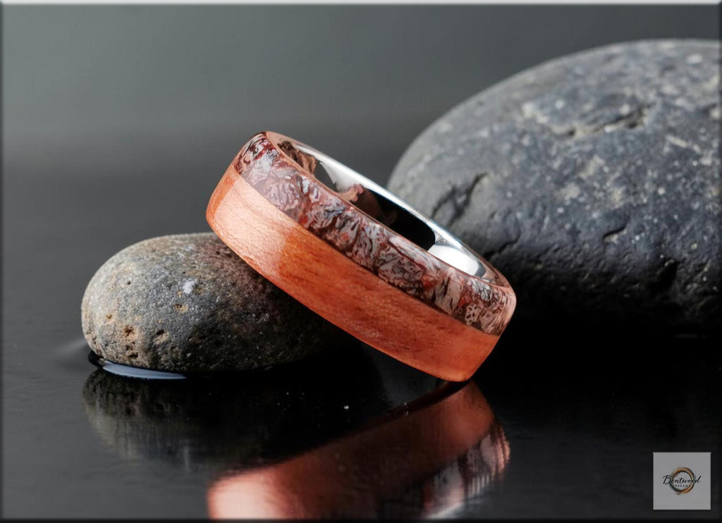 Bentwood Ring: Figured Red Birch, Fossilised Brontotherium Bone, Tungsten Carbide core