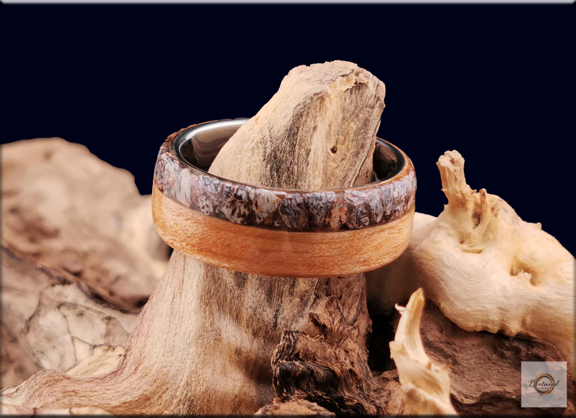 Bentwood Ring: Figured Red Birch, Fossilised Brontotherium Bone, Tungsten Carbide core
