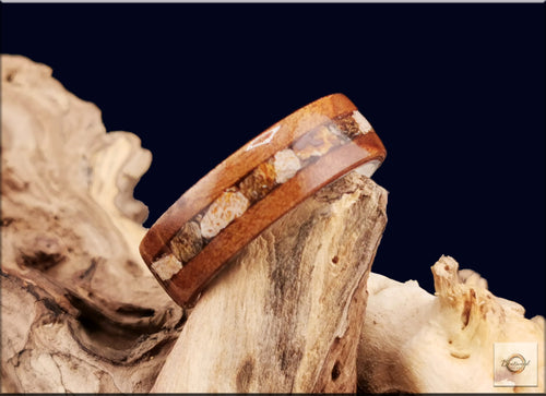 Bentwood Ring: Camphor Burl, inlaid Megalodon Tooth, Deer Antler core