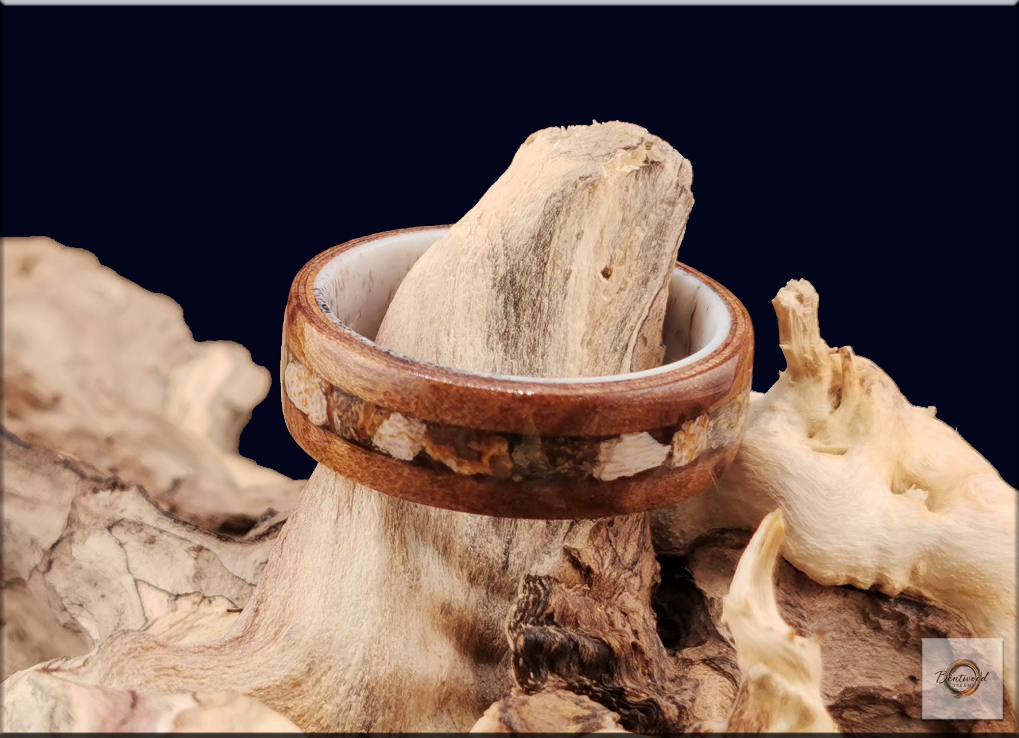 Bentwood Ring: Camphor Burl, inlaid Megalodon Tooth, Deer Antler core