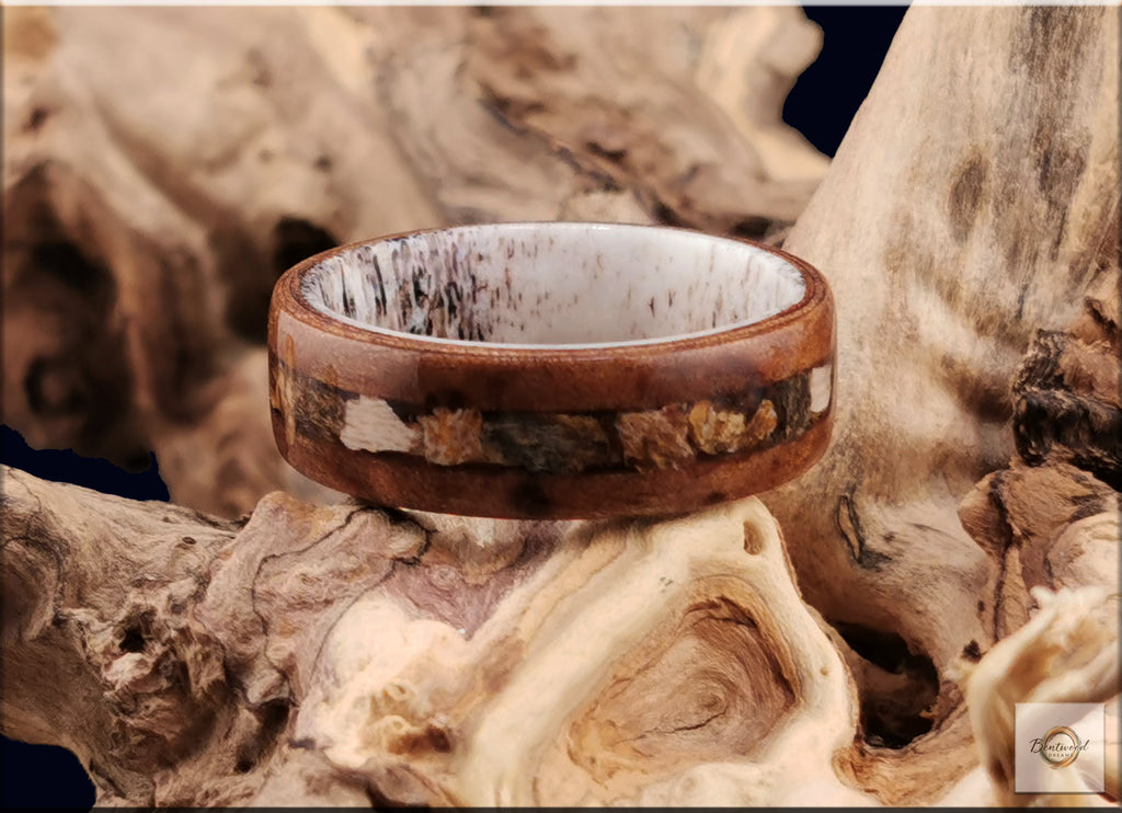 Bentwood Ring: Camphor Burl, inlaid Megalodon Tooth, Deer Antler core