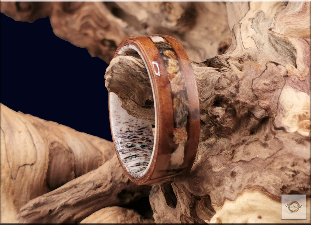 Bentwood Ring: Camphor Burl, inlaid Megalodon Tooth, Deer Antler core